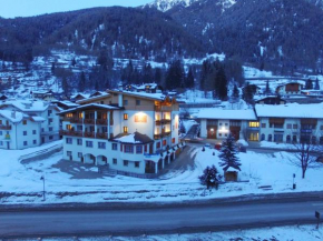 Отель Sport Hotel Stella Alpina  Коголо
